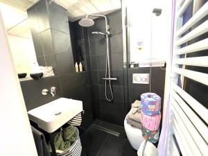 a bathroom with a shower and a toilet and a sink at zons22 Tiny Loft in Historic Zons - between Cologne & Düsseldorf in Dormagen