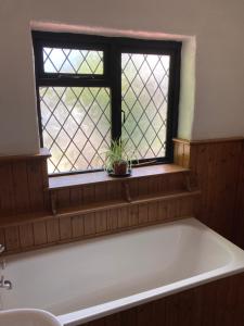 a bath tub in a bathroom with a window at The Eliot Cottage in South Petherwin +59 photos