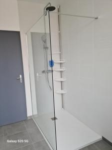 a shower with a glass door with a ladder at L'Adeline Escapade de Charme et Calme proche Guédelon in Bléneau +13 photos