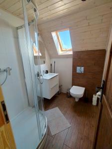 a bathroom with a shower and a sink and a toilet at Domki pod Derkaczem in Radków +121 photos