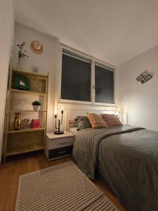 a bedroom with a large bed and a window at welcome geneva in Geneva