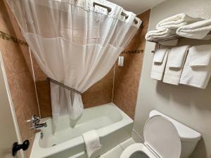 a bathroom with a toilet and a shower with a shower curtain at Park Inn by Radisson, Weldon - Roanoke Rapids in Weldon