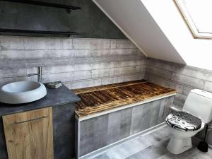 a bathroom with a sink and a toilet at Apartamenty 5 i 6 w Karkonoszach in Jelenia Góra +29 photos