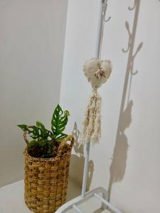 a plant in a basket sitting next to a wall at Casa Josefa Cafayate in Cafayate