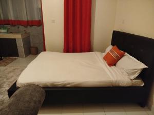a bed with two pillows and a red curtain at LaDee Homes - Cozy Studio in Kakamega