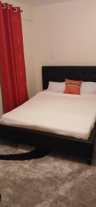 a bed with a black frame and a red curtain at LaDee Homes - Cozy Studio in Kakamega