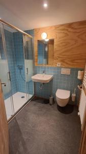 a bathroom with a toilet and a sink and a shower at Chalet Suveran 1 in Arosa
