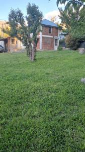 a tree in the middle of a field with a house at Cabañas Jardín del Neuquén in Huinganco