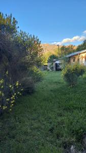 a yard with green grass and bushes and a house at Cabañas Jardín del Neuquén in Huinganco