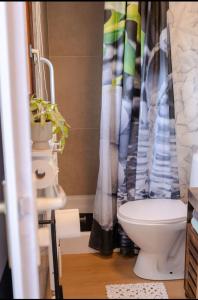 a bathroom with a toilet and a shower curtain at Chalet Timber -close to the woods in Anloo +17 photos