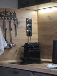 a kitchen counter with utensils hanging on a wall at Bela Reka 204 in Brzeće +15 photos