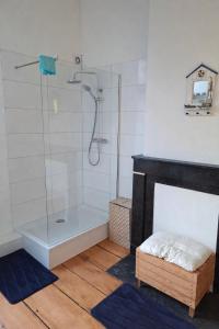 a bathroom with a shower with a glass shower stall at Maison de Maître in Liège +7 photos