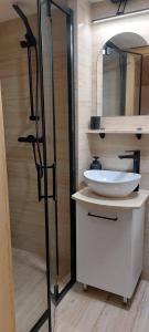 a bathroom with a white sink and a mirror at Apartmán U Lípy Janovičky in Heřmánkovice +21 photos