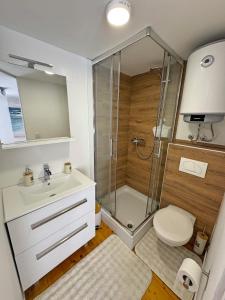 a bathroom with a shower and a toilet and a sink at Casa di Pag by Pag tours in Pag +21 photos