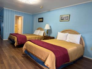 two beds in a hotel room with blue walls at Parkview Lodge & Cabins in Newland