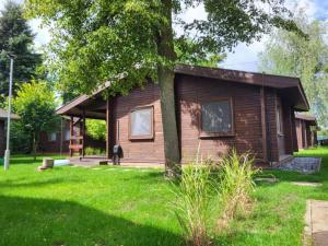 a small house in a yard with a tree at Domek "Sen 100 Jezior" in Chrzypsko Wielkie