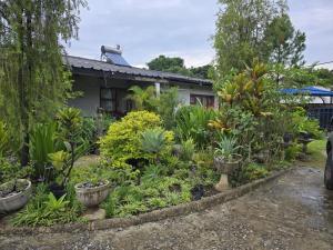 a garden in front of a house with plants at Zachi Eland Apartment in Kitwe