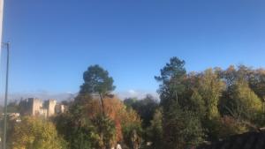 a group of trees with a city in the background at Chambre dans Maison de campagne in Barbaste +6 photos