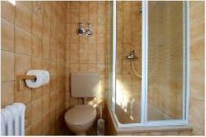 a bathroom with a shower and a toilet in it at wohnung-nr-2 in Kirchzarten