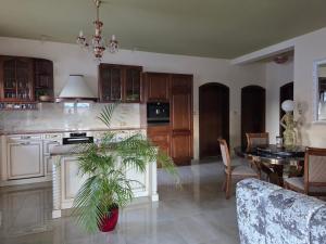 a kitchen and dining room with a potted plant at R Limoli Vintage in Trávnica