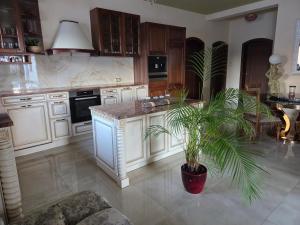 a kitchen with white cabinets and a palm tree in it at R Limoli Vintage in Trávnica +39 photos