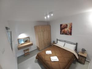 a bedroom with a large bed and a television at Velania House 1 in Filótion