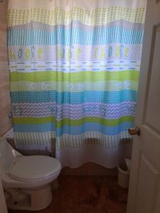 a bathroom with a toilet and a shower curtain at Puyehue in Mantilhue +9 photos
