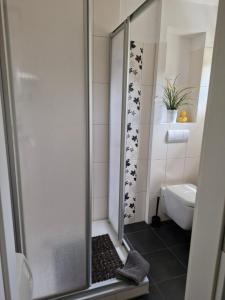 a bathroom with a shower and a toilet at Ferienhaus Marc in Göhren-Lebbin