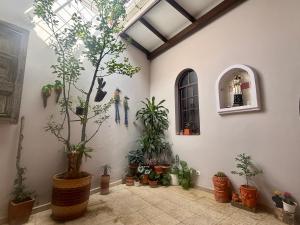 a room with a bunch of potted plants at Casa Tierra Libre in Cali
