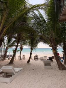 a beach with chairs and palm trees and the ocean at Chavez Eco Beach Camping and Cabañas in Tulum