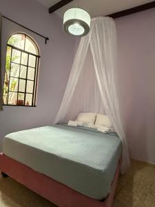 a bed with a canopy in a room with a window at Casa Tierra Libre in Cali