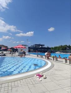 a swimming pool with a doll in front of it at Villa Hills in Sarajevo