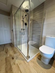 a bathroom with a toilet and a glass shower at Maggie's Croft Cottages 4 Star Tourism NI in Castlewellan