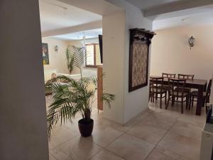a dining room and living room with a potted plant at R Limoli Cozy in Trávnica