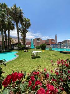 a garden with roses and a pool with palm trees at Cómodo departamento in Iquique