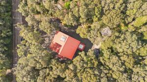 an overhead view of a house in the forest at Stop Looking You've found it in Volcano