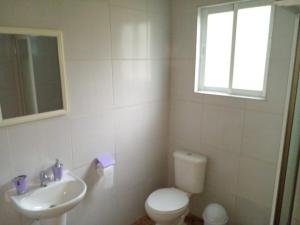 a bathroom with a toilet and a sink and a window at Cabañas Uenke in Puerto Puyuhuapi