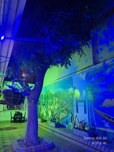 a tree in front of a wall with a mural at Hotel Medellin in Santa Marta