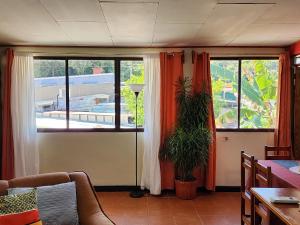 a living room with two windows and a potted plant at Comfortable fully equipped apartment just 6 kilometers from Manuel Antonio, with parking and fast WiFi in Quepos