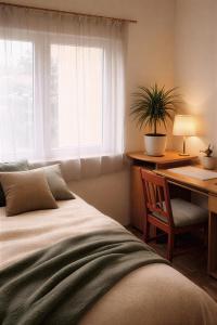 a bedroom with a bed and a desk with a plant at Hostel Arkobaleno sieci Mazowia Hostels Group in Marki