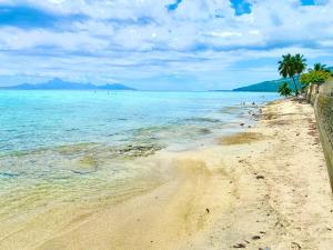 a sandy beach with palm trees and the ocean at Green hill in Paea
