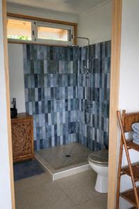 a bathroom with a shower and a toilet at Aimeho Bungalow in Paopao