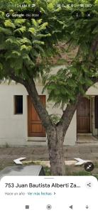 a tree in front of a building with a door at Apartamento céntrico Campana in Campana