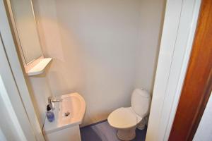 a small bathroom with a toilet and a sink at Ribbingshof Herrgård - Flygeln in Norra Vi +34 photos