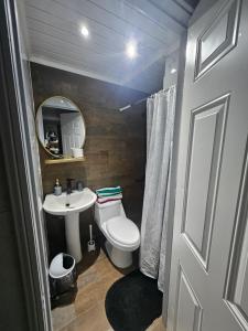 a bathroom with a toilet and a sink and a mirror at Refugio Titi3 in Coronel