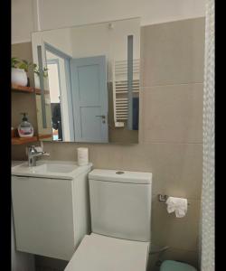 a bathroom with a toilet and a sink and a mirror at Quinta das Rosas - Beach 500m away in Figueira da Foz +25 photos