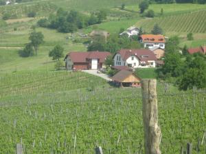 uma aldeia no meio de um campo de videiras em Tourist Farm Joannes em Maribor
