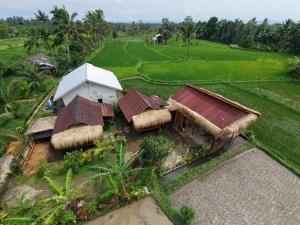 an aerial view of a house in a field at padi bungalow in Tetebatu