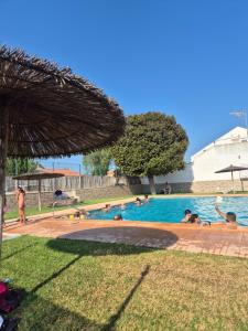 a group of people swimming in a swimming pool at Casa Luxemburgo in Torrevieja