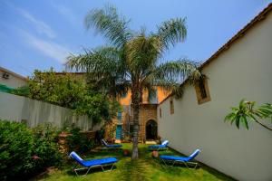 a yard with blue chairs and a palm tree at Alkisti City Hotel in Larnaka